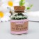 Round 6/0 beads in the bottle "dark green" transparent-color 20 g