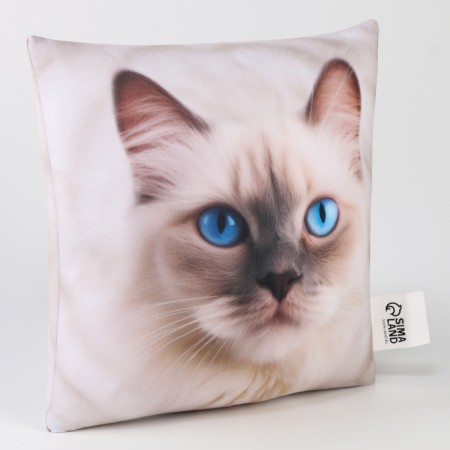 Antistress pillow "Ragdoll"-3
