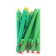 Gel Helly-Prikol "Cactus", mix