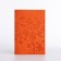 Passport cover, orange color