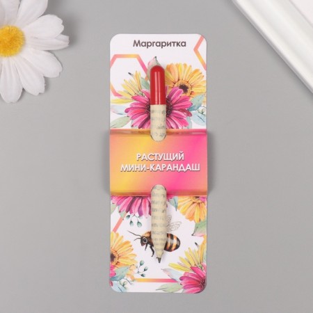 Growing gift pencils Mini "Margarita"