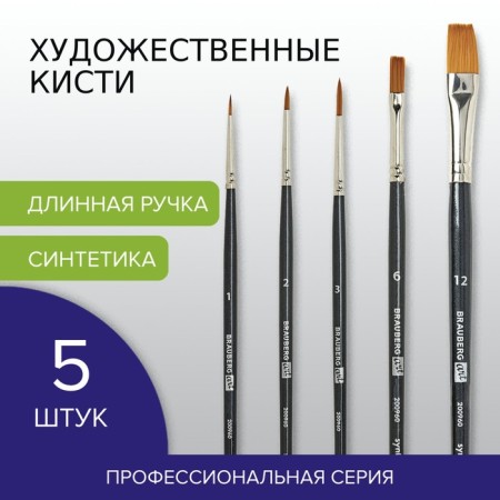 System of Synthetics 5 pieces, Brauberg Art Classic, round No. 1, 2, 3; Flat No. 6, 12-11