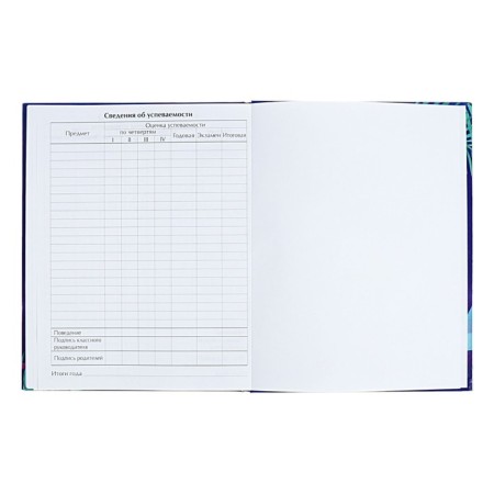 Diary for grades 5-11 "Modern wyb. Be cooler!", Firm cover, glossy lamination, 48 sheets-8