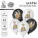 Shar Latex 12 "Best graduates", 25 pcs.