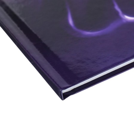 Universal diary for grades 1-11, "kitten", solid cover 7BC, glossy lamination, 40 sheets-5