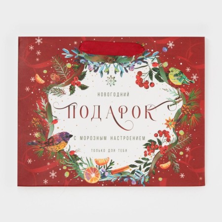 Laminated horizontal package “Frosted”, MS 18 x 23 x 10 cm, New Year-5