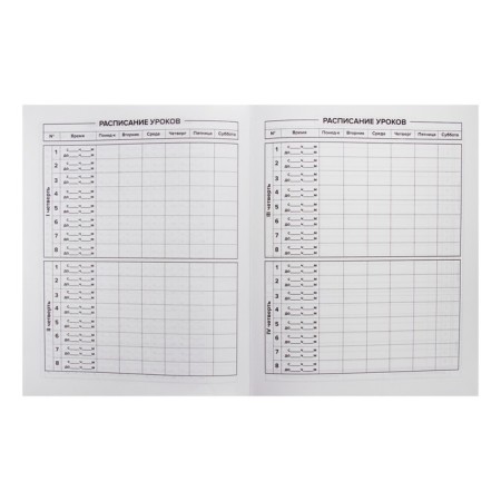 School diary for grade 1-11, “steep turn”, solid cover, “soft-tach” lamination of Velvet, an offset block 65g/m2, universal cheat sheet, 48 sheets-5