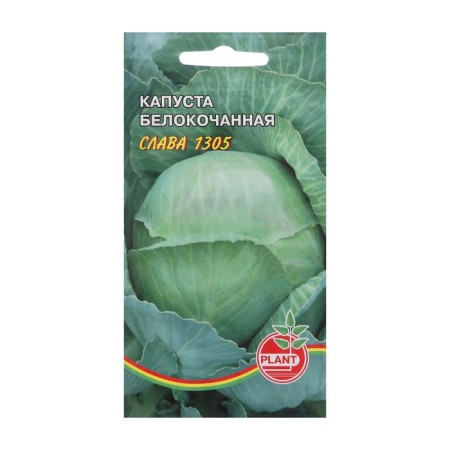 White cabbage seeds "Glory", 0.5 g