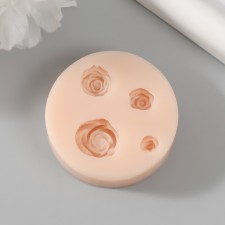 Mold Silicon 