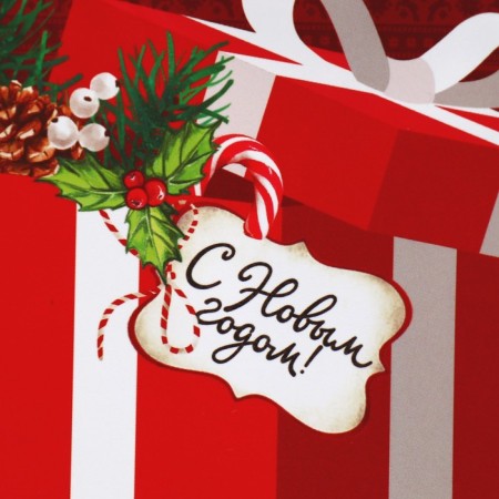 Laminated vertical package “For you”, S 12 x 15 x 5.5 cm, New Year-4