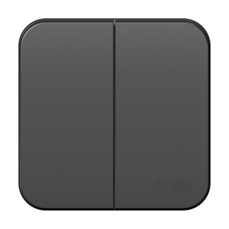 SE BLANCA switch, 10 A, 2 keys, IP20, invoice, color Anthracite, Blnva105016