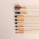 A set of makeup brushes, 12 objects, case, color mix