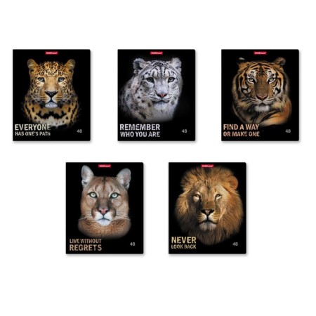Notebook of 48 sheets in the Erichkrause Strong and Brave cage, cover coated cardboard, matte lamination, mix