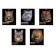 Notebook of 48 sheets in the Erichkrause Strong and Brave cage, cover coated cardboard, matte lamination, mix
