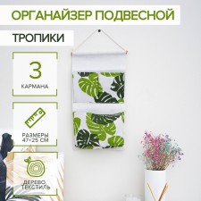 ORGANIZER OF SUBSTANCE WITH PARNES OF THE DOLISH 