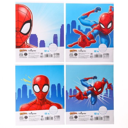Notebook in a cage 12 sheets, 4 types of mix, cover coated paper, spider-man-3