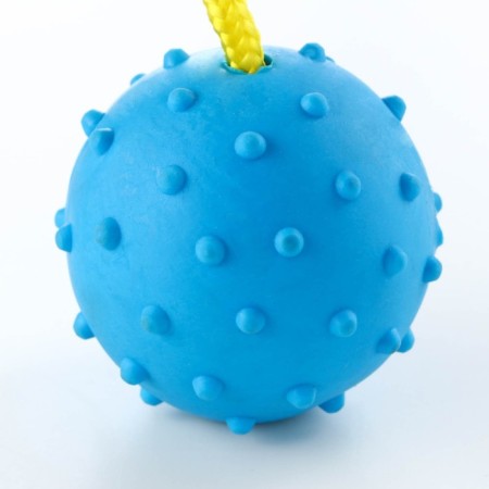 Toy ball on a rope, 6 cm, blue-1