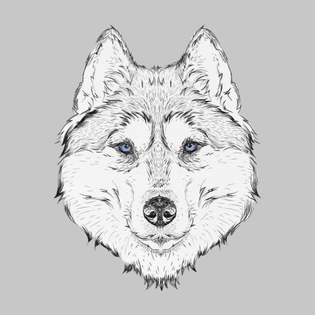 Thermalrotransfer "Wolf", 15.5 × 20 cm, black/white color-2