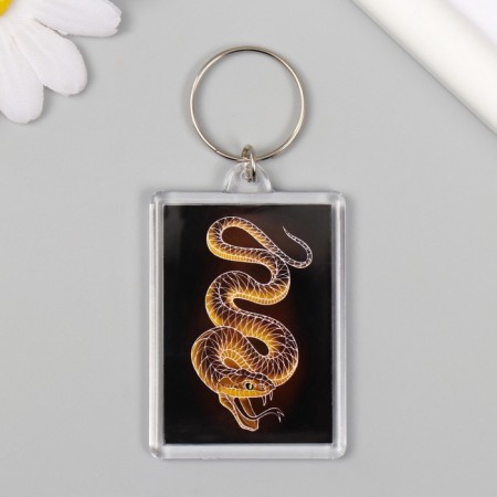 Acryl keychain "Snake. Linius" 3.5x5 cm-1