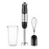 Galaxy Line GL 2138 Bleader, submersible, 1000 watts, 0.6 l, 2 speeds, black and gray