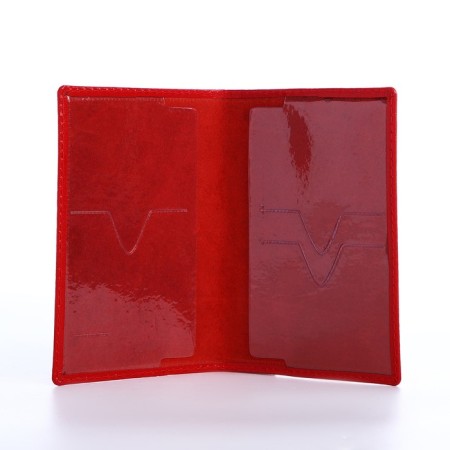Cover for passport, red color-2