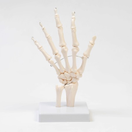 Model "Boat joint" 25*11*11cm-3
