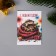 A set of postcards with seeds "grow itself" "snakes" 5*7cm
