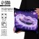 New Year. Decorative anti -stress pillow "Snake", purple