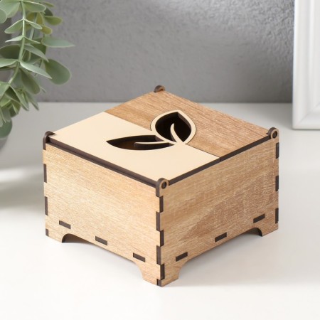 Combined box "Leaflets" 10.5x10x7 cm