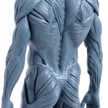 Model "Human Body" 29cm-9
