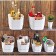 EMHOUSE basket, 10 l, color mix
