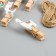 Decor for creativity wood "Procurep. Lama and cacti" set of 10 pcs 5x2x1.2 cm