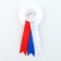 Icon - Order for graduation "Graduate of primary school", D = 6.7 cm