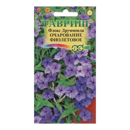 Flocus flower seeds (Drummond) "Violet Charm", 0.05 g