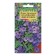 Flocus flower seeds (Drummond) "Violet Charm", 0.05 g