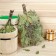 Broke for the bath oak, 55 cm with mint