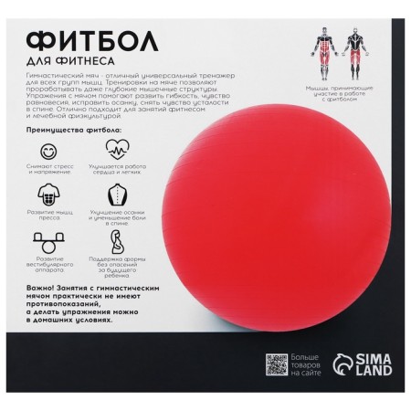 Fitball Onlitop, D = 65 cm, 900 g, anti -wings, black color-5