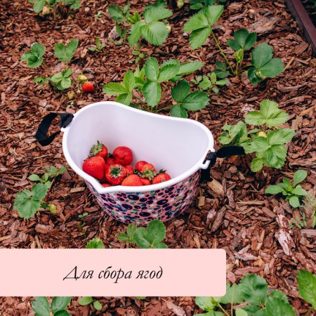Container for collecting berries, 3 l, "berry", white-4