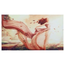 Picture on the canvas 