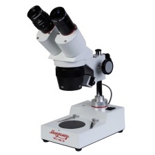 Microscope Stereo 