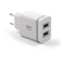 Network charger Byz U26, 2 USB, 2.4 A, MicroUSB cable, 1 m, white