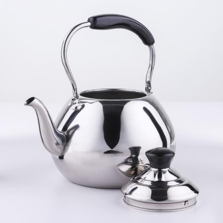 A teapot made of stainless steel Orchid, 4 l, silver color-1
