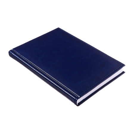 Diary of Leduced A5, 160 sheets of Nebraska, covering artificial leather, corner perforation, blue-12