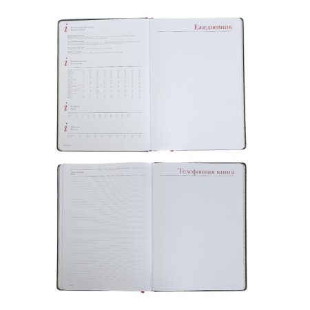 Diary of Leduced A4, 136 sheets of Sidney Nebraska, solid cover, artificial leather, gold cut, liesse, green-6