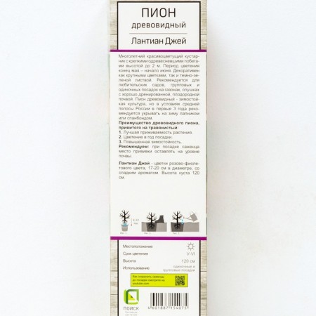 Pion tree pion (vaccinated for grassy) "Lantian Jay", 1 pc, tube, spring 2025-1