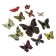 Butterflies cardboard "leaves" set 12 pcs h = 4-10 cm on magnet
