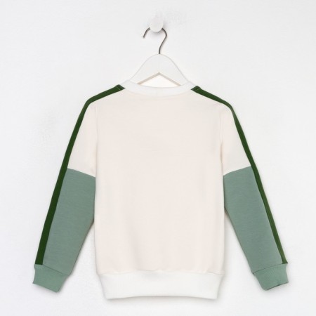 Sweatshirt for a boy, the color is gray-green, height 110 cm-6