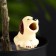 Puppy irrigator for indoor and garden plants Kungur ceramics, 30ml, 8.5cm, mix
