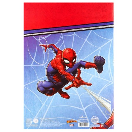 Gift set for a boy, 10 items, Spider-Man-12