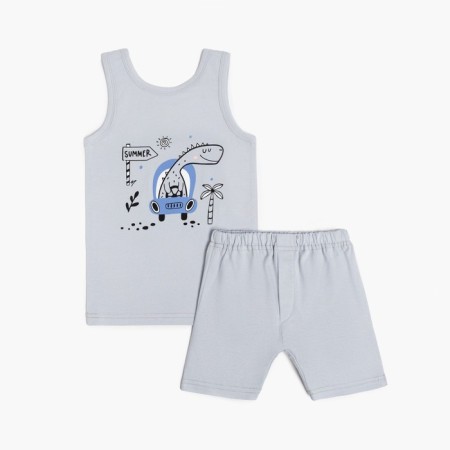 Set for a boy (T -shirt, panties), gray color/Summer, height 104 cm